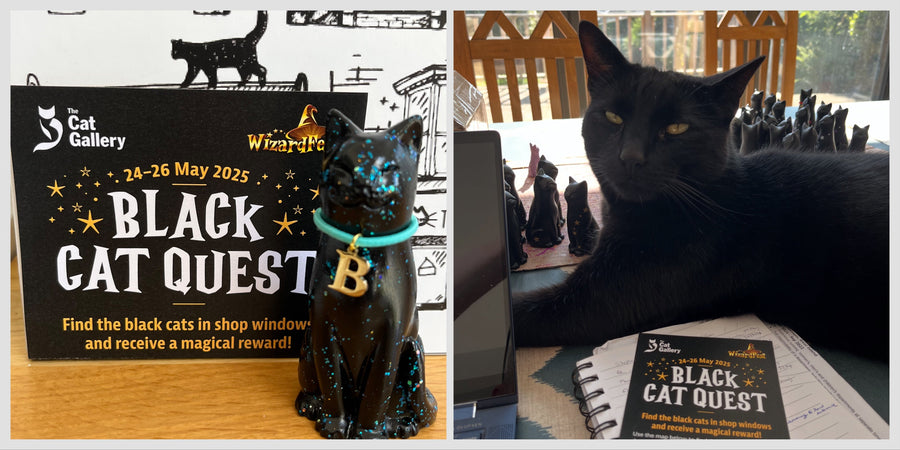Free Family Fun - The Black Cat Quest