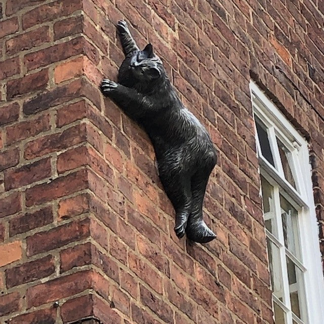 York Cat Trail New Cat Unveiled - Gus the Theatre Cat