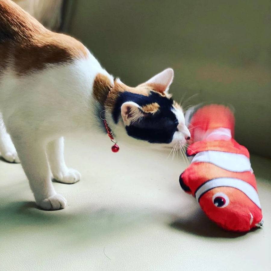 Five Favourite Feline Gifts