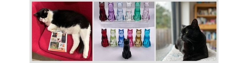 The Cat Gallery Autumn 2024 Catalogue