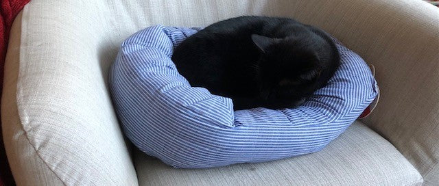 Charlie and the Blue Stripy Bed