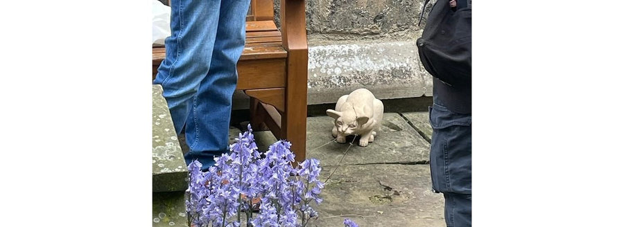 York Gets another Cat Statue