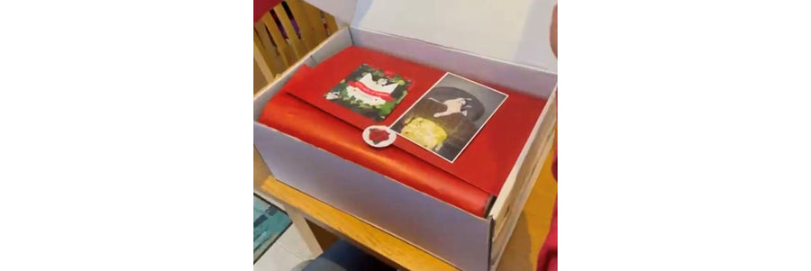 Lady Dinah's Cat Emporium - Gift Hamper Unboxing