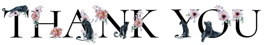 Cat Chat and International Cat Care Send Their Personal Thanks