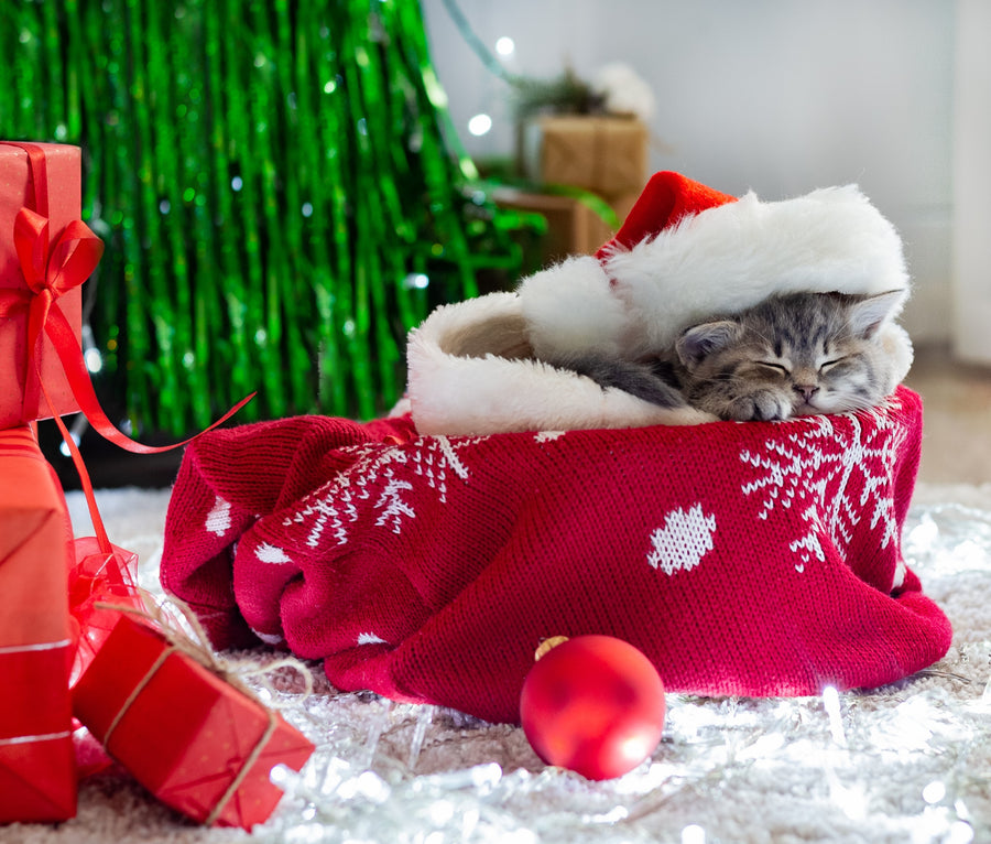 Merry Christmas - Festive Sale has Started!