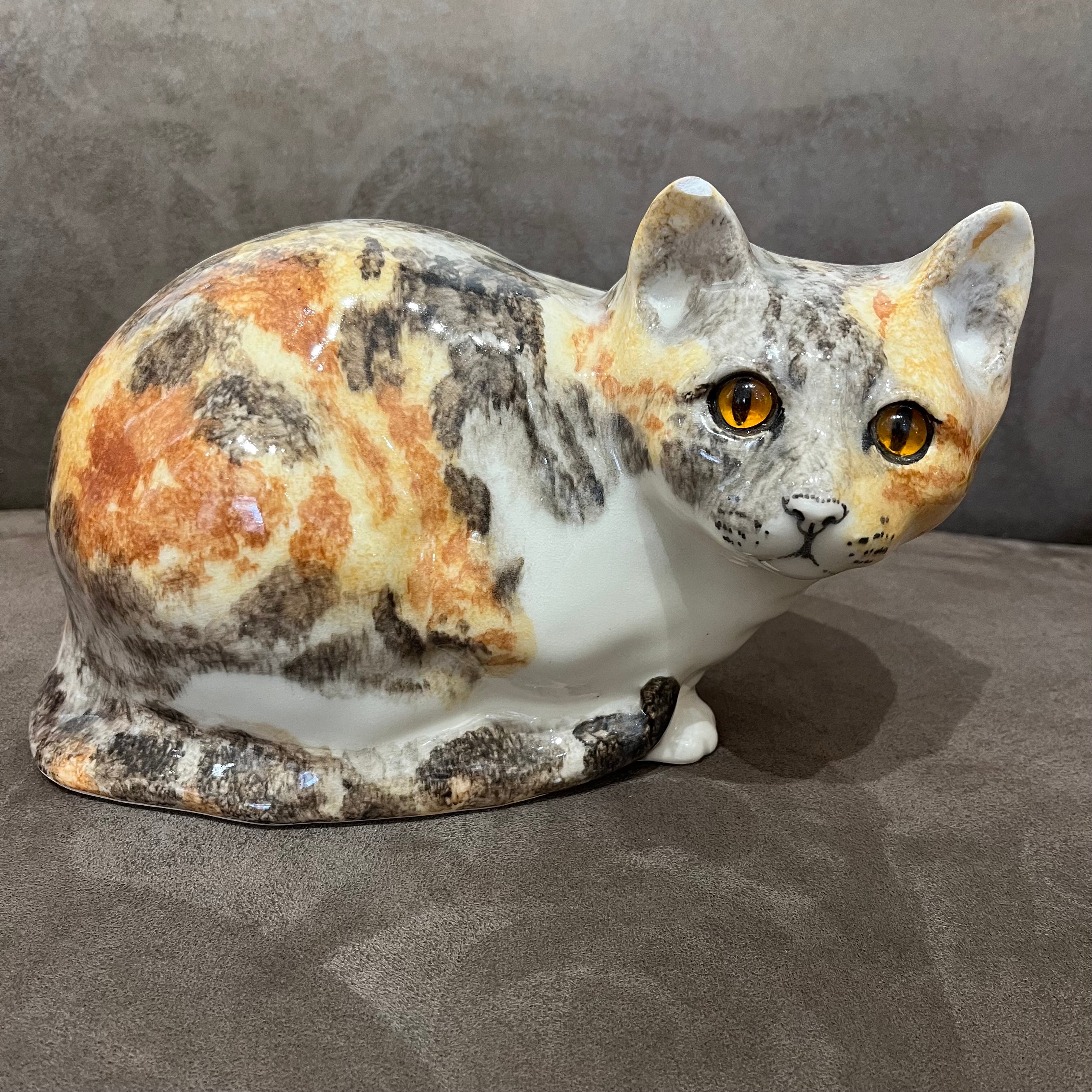 Winstanley Tortie & White - Size 5 - reduced due to small ear chip
