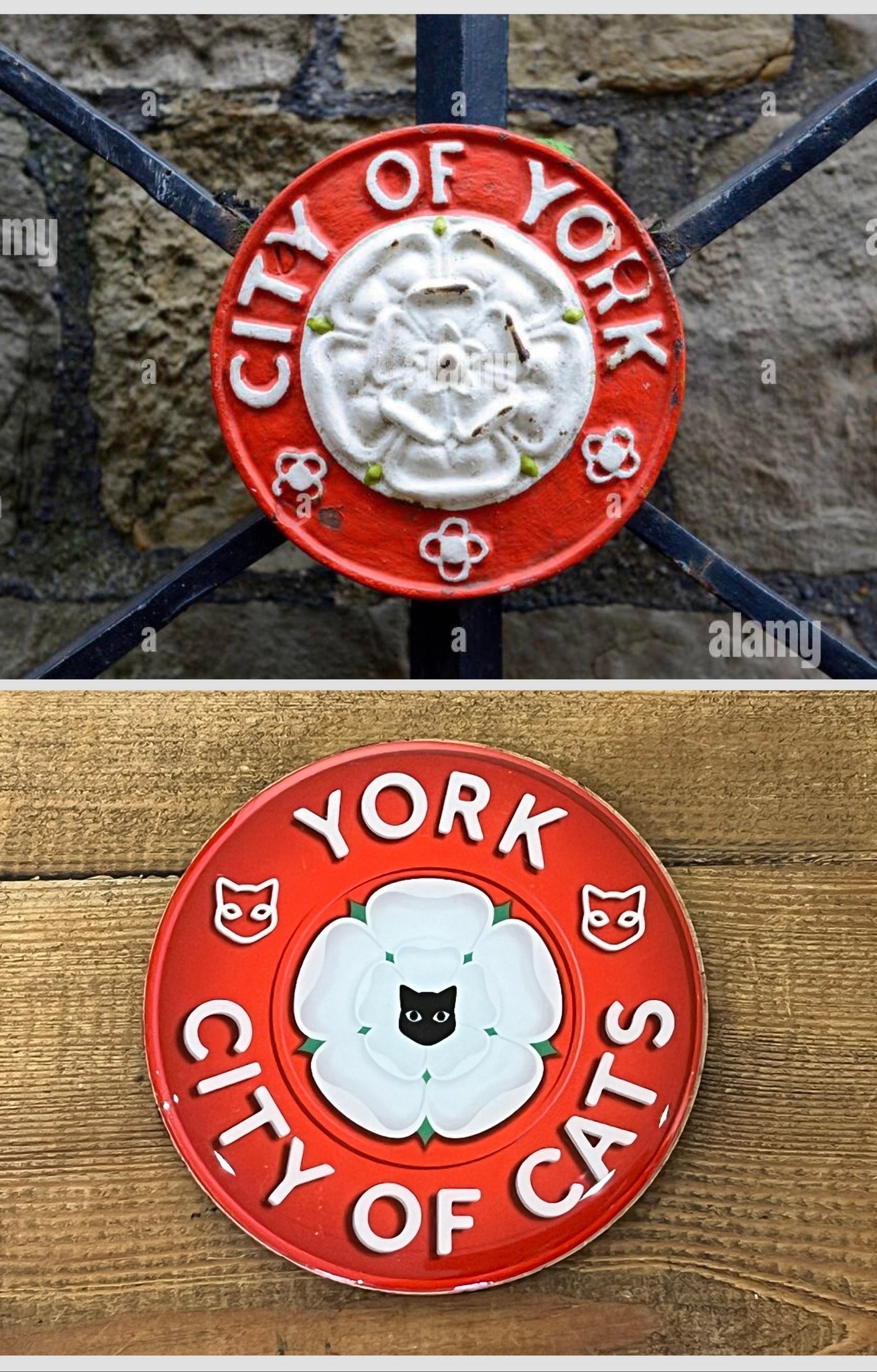 York City of Cats Magnetic Coaster