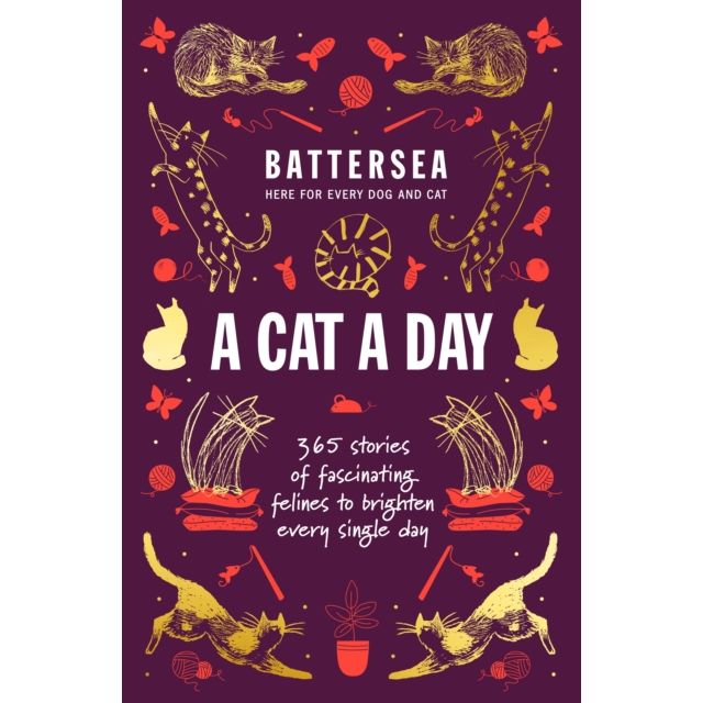 Battersea Dogs and Cats Home: A Cat a Day Book
