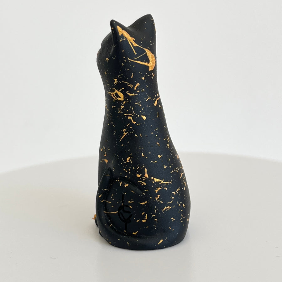 Au Noir Lucky Kitten