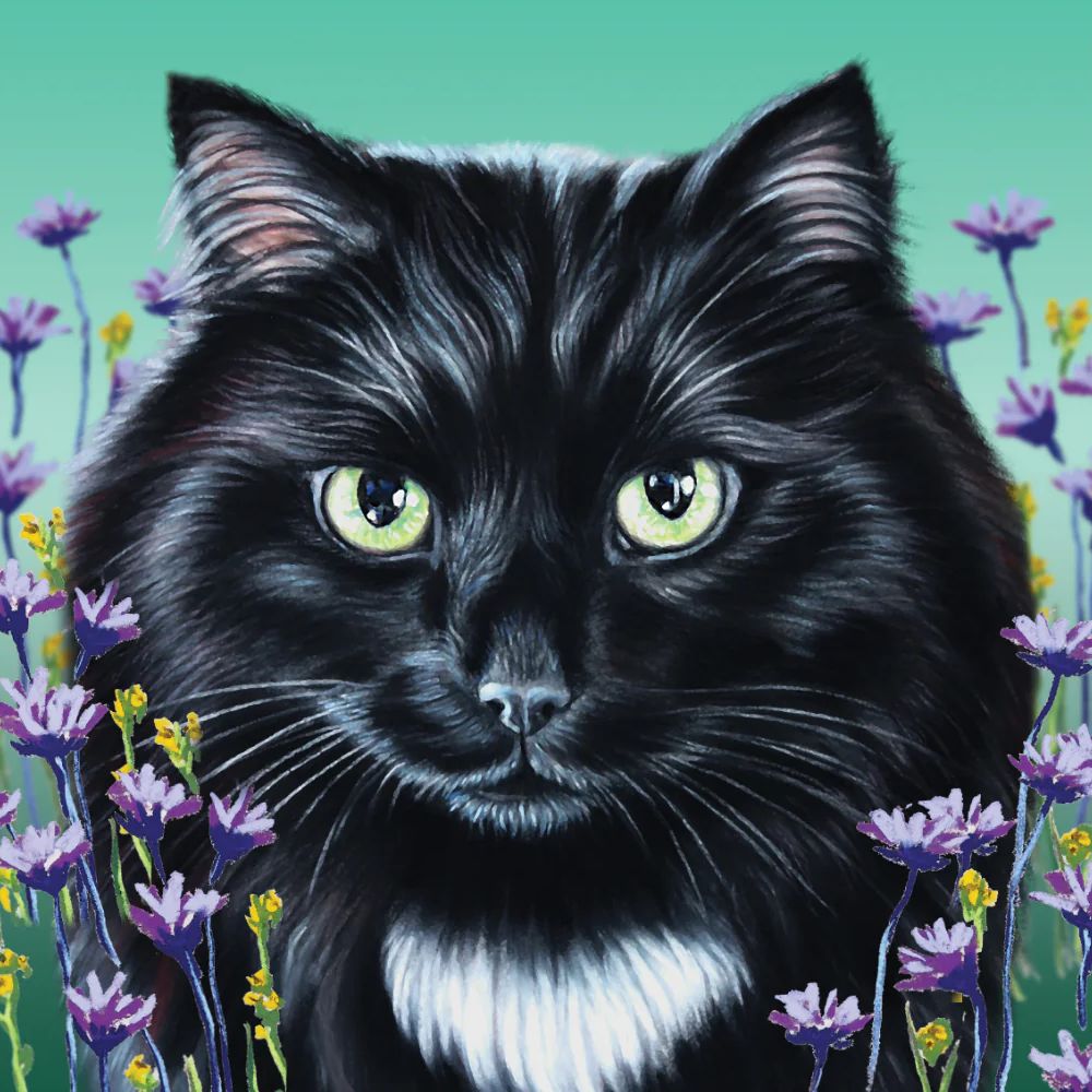 Black & White Fluffy Cat Art Greetings Card