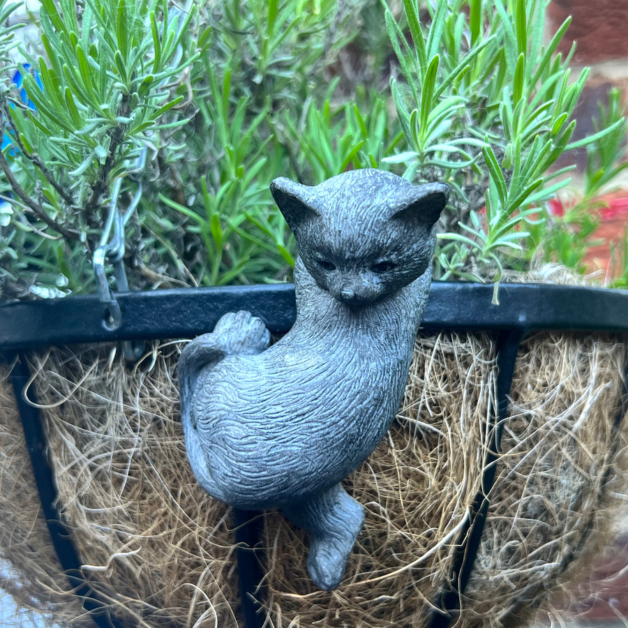 Kitty Cat Pot Hanger