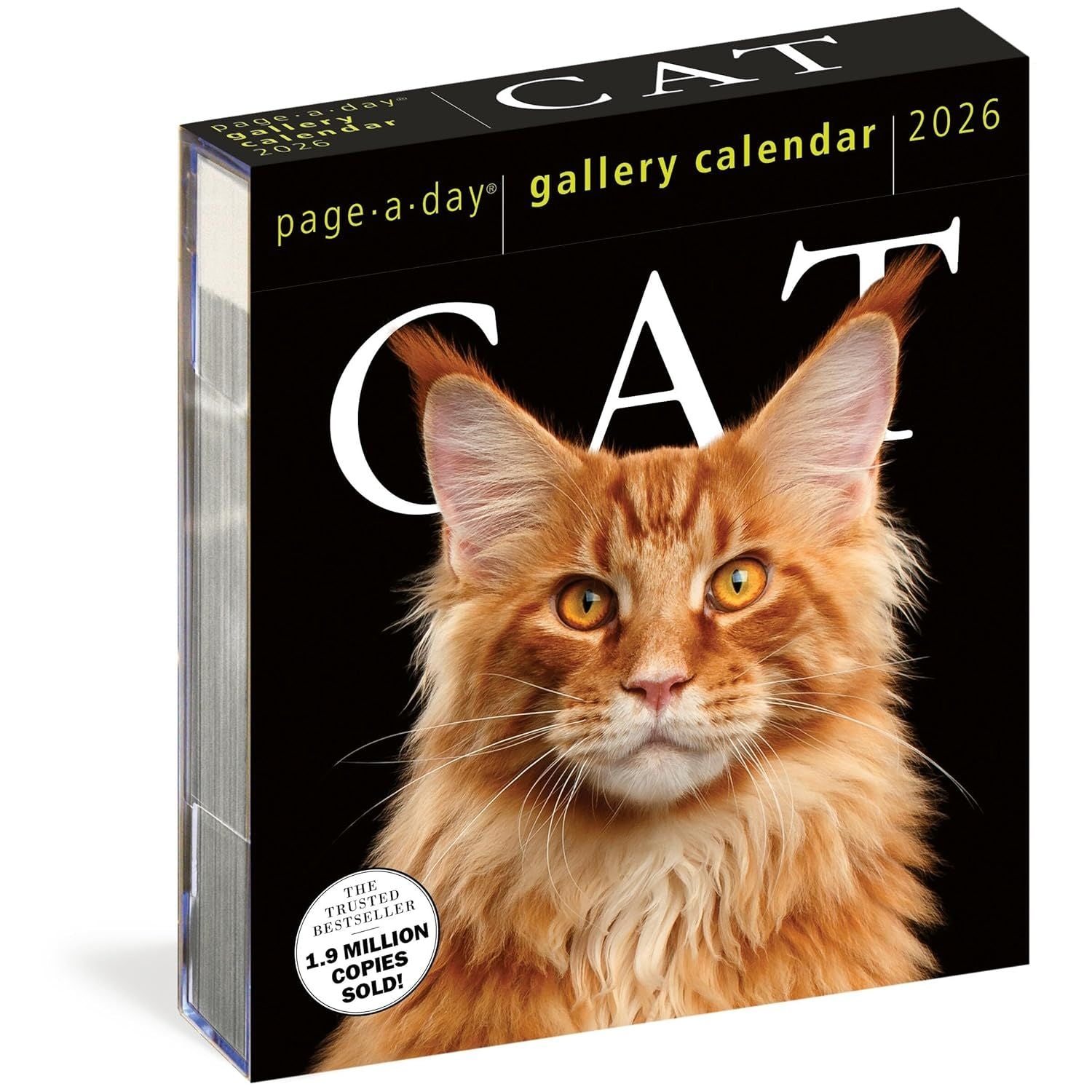 Page A Day Cat Gallery 2026 Desk Calendar
