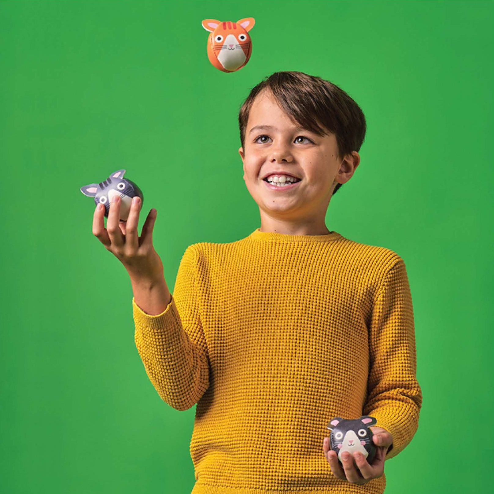 Cat Juggling Balls