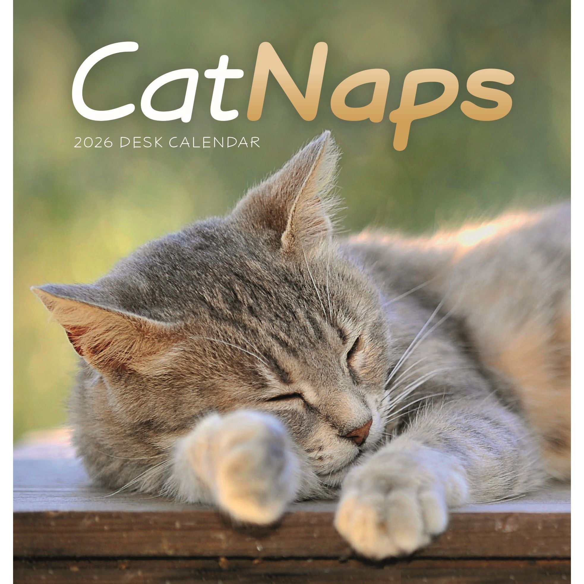 Cat Naps 2026 Easel Desk Calendar