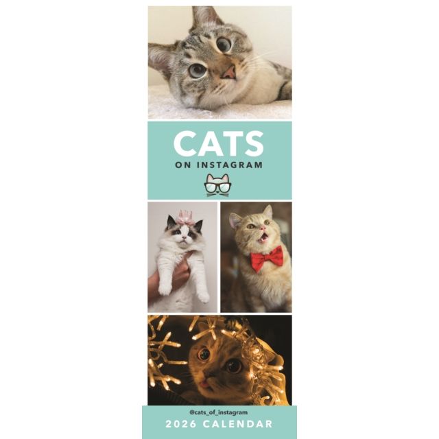 Cats on Instagram 2026 Slimline Calendar