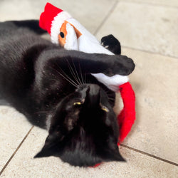 Santa Kicker Festive Toy