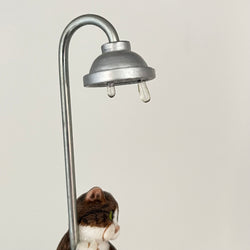 Vintage In The Tub Comic & Curious Cats A3884 RARE LTD EDN