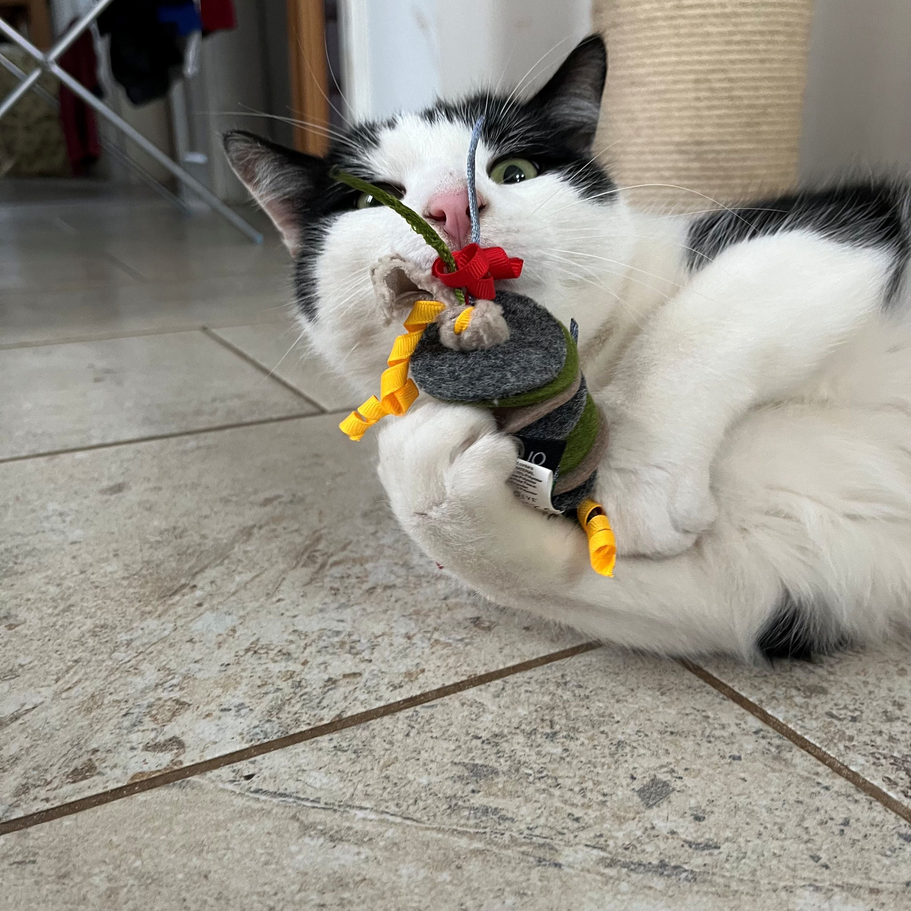 Felt Rope Cat Toy