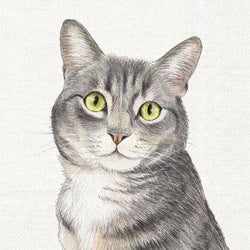 Farm Cat Napkins