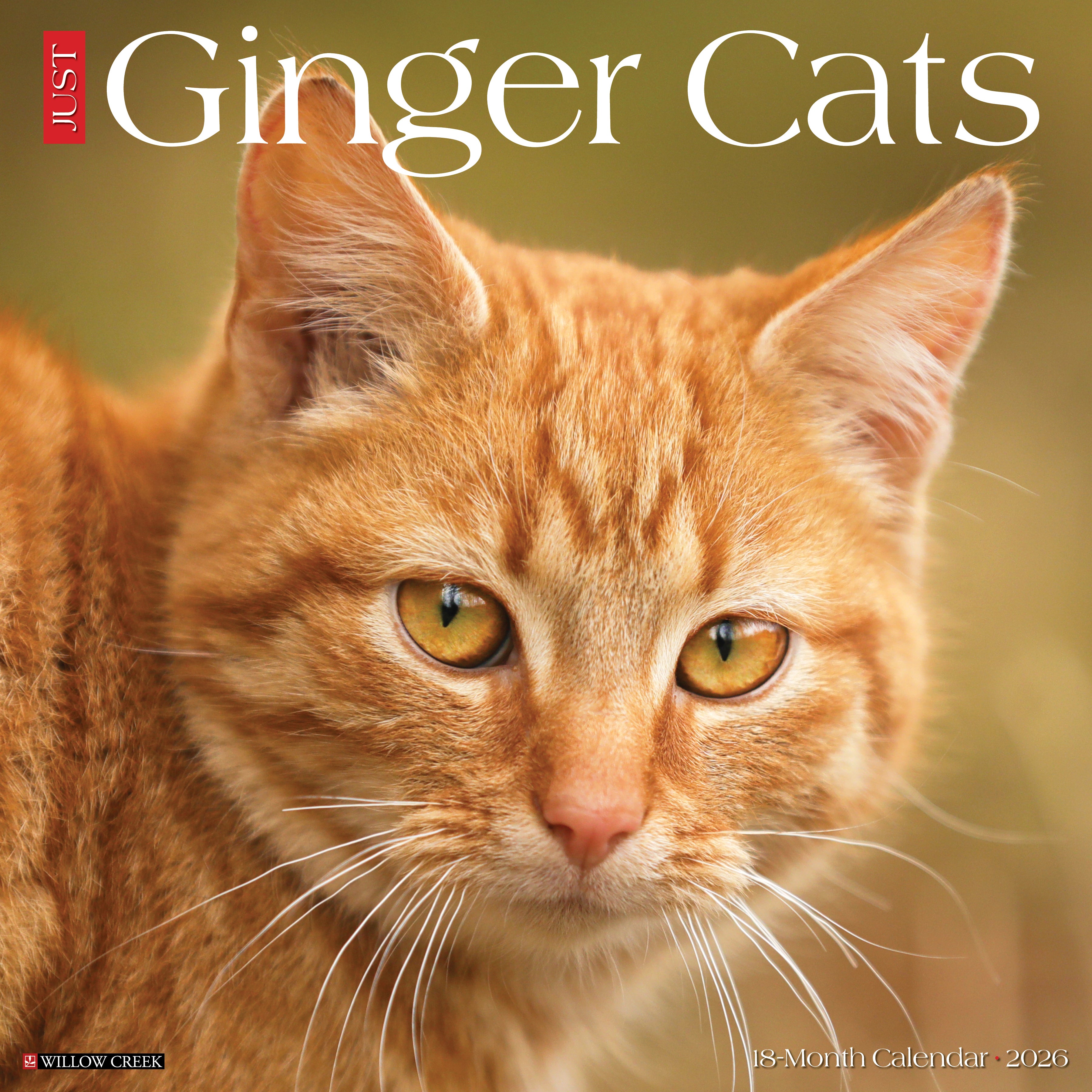 Ginger Cats 2026 Wall Calendar