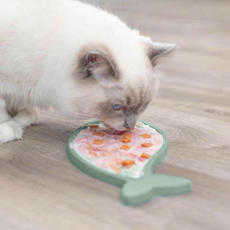 Lick N Snack Mat