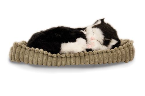 Tuxedo Cat by Precious Petzzz