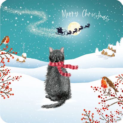 Santas Visit  Luxury Charity Card Pack