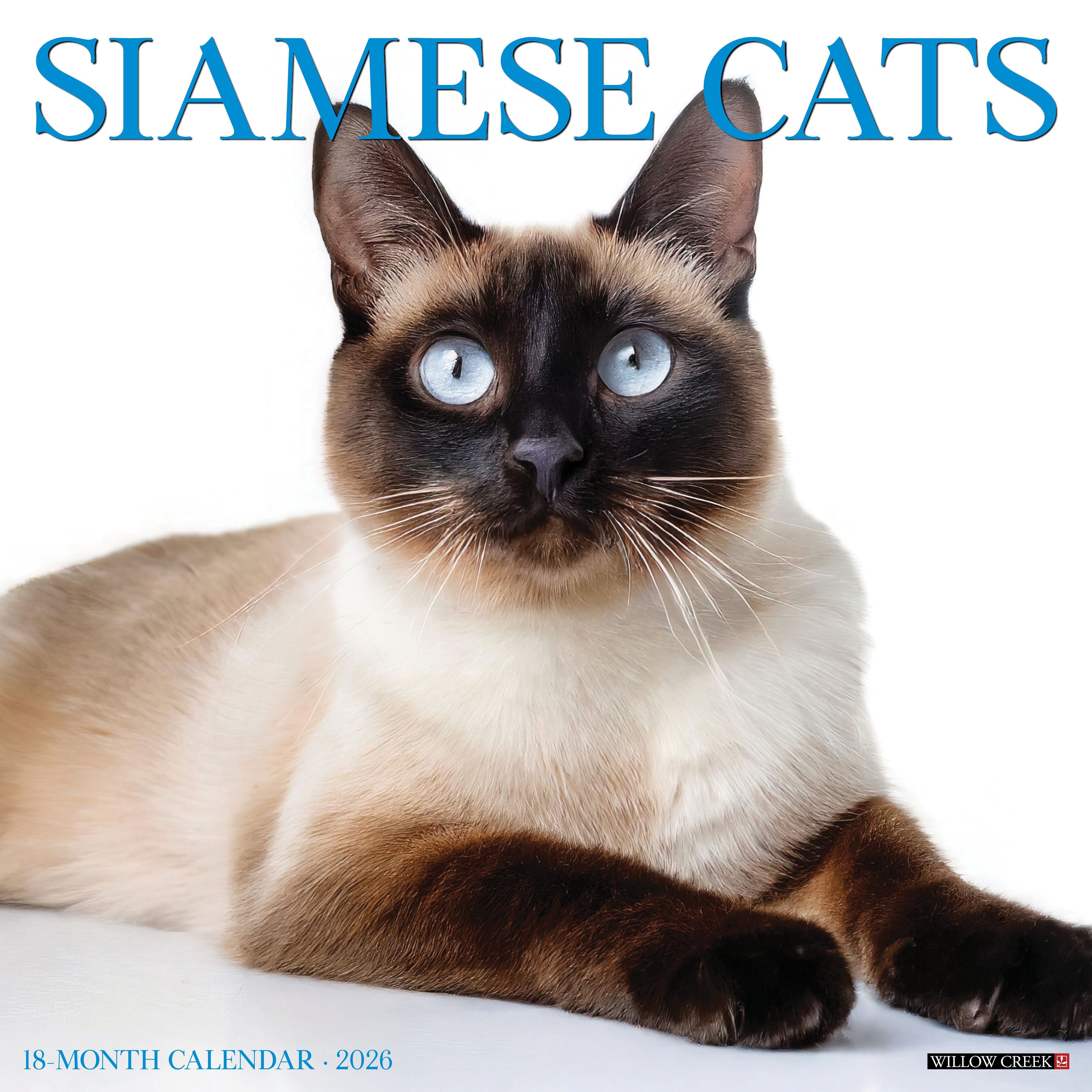 Siamese Cats 2026 Wall Calendar