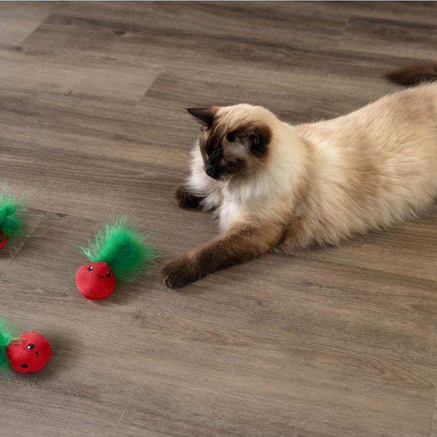 Strawbabies Dental Chew Cat Toy Trio