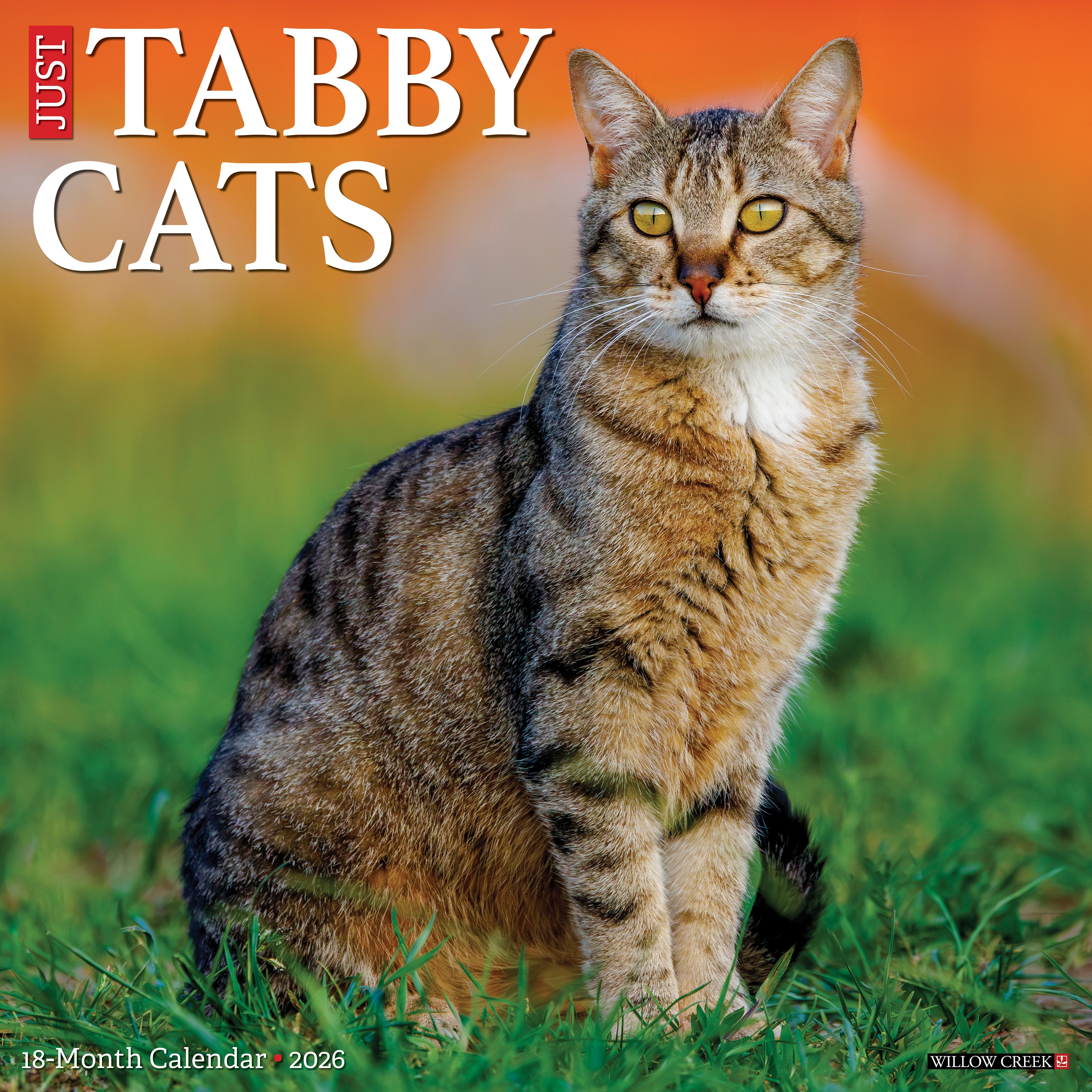 Tabby Cats 2026 Wall Calendar