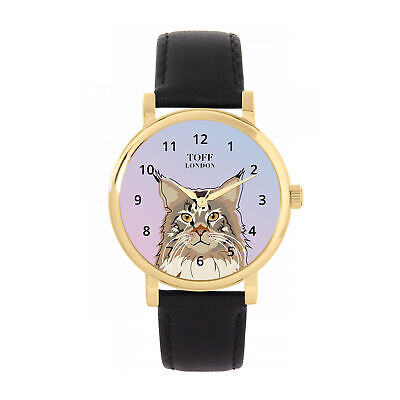 Maine Coon Cat Watch