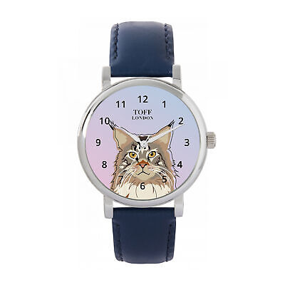 Maine Coon Cat Watch