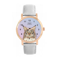 Maine Coon Cat Watch