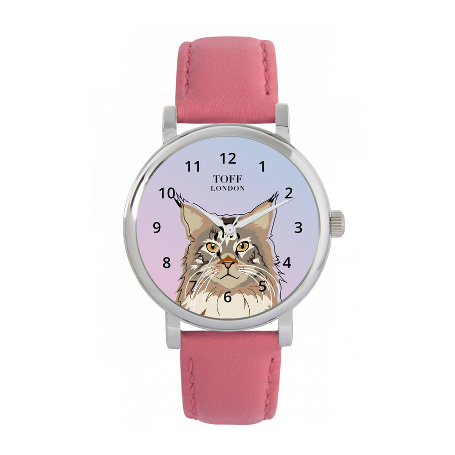 Maine Coon Cat Watch