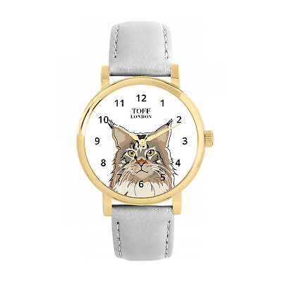 Maine Coon Cat Watch