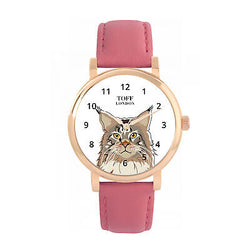 Maine Coon Cat Watch