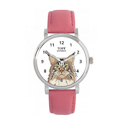 Maine Coon Cat Watch