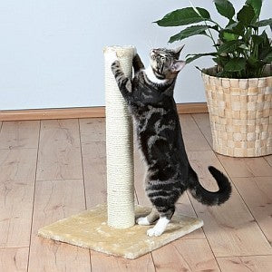 Tall Scratching Post