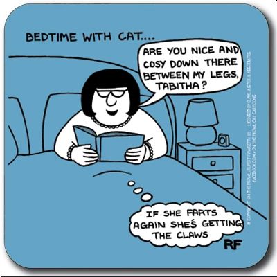 Bedtime with Cat Coaster