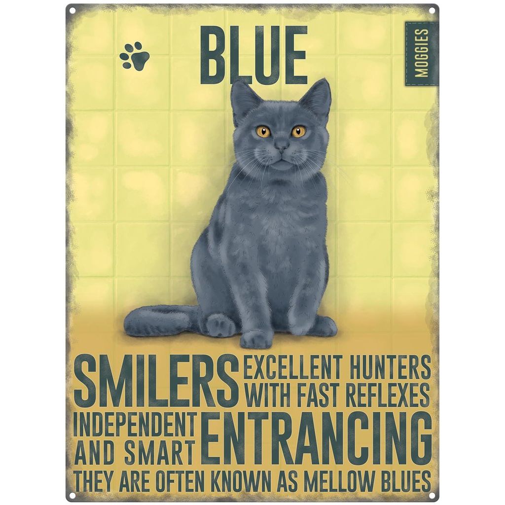 Blue Cat Metal Dangler