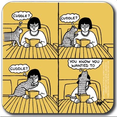 Cuddle Coaster