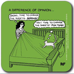 A Difference of Opinion Coaster