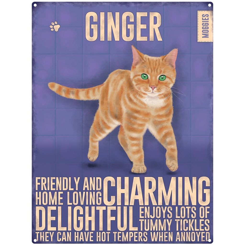 Ginger Cat Fridge Magnet