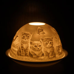 Kittens & Butterfly Glow Dome