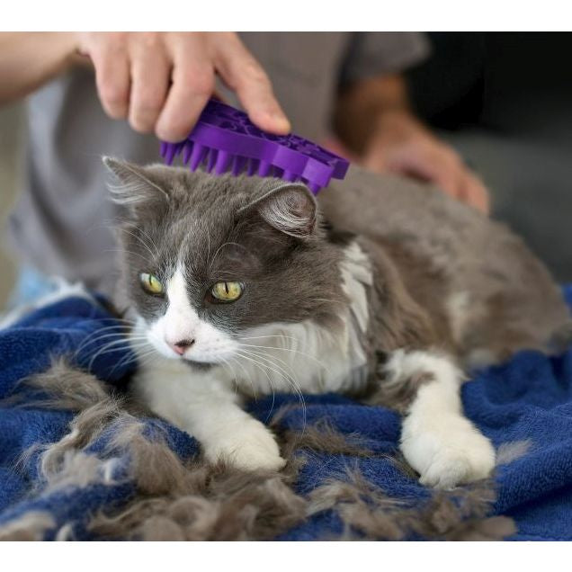 Cepillo y masajeador KONG Zoom Groom Cat