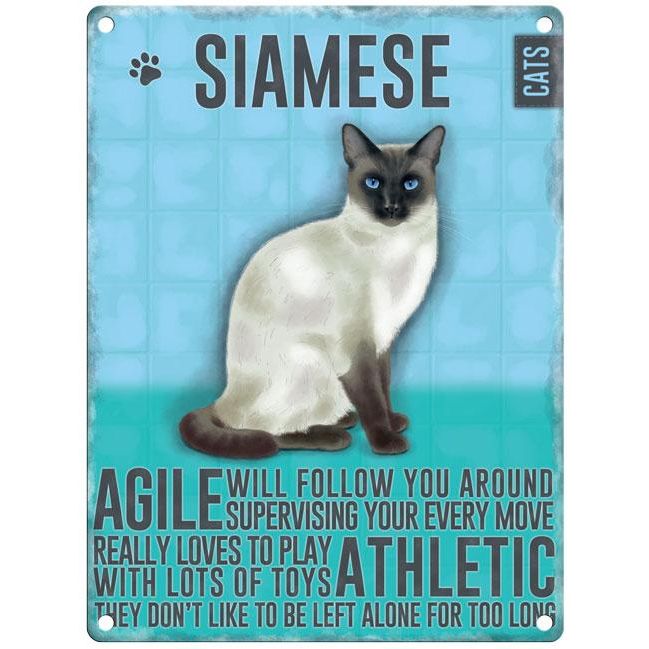 Siamese Cat Metal Dangler
