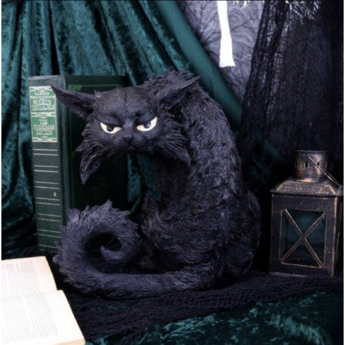 Spite Black Cat