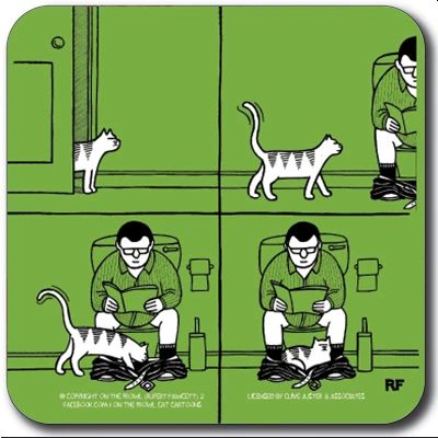 Toilet Coaster