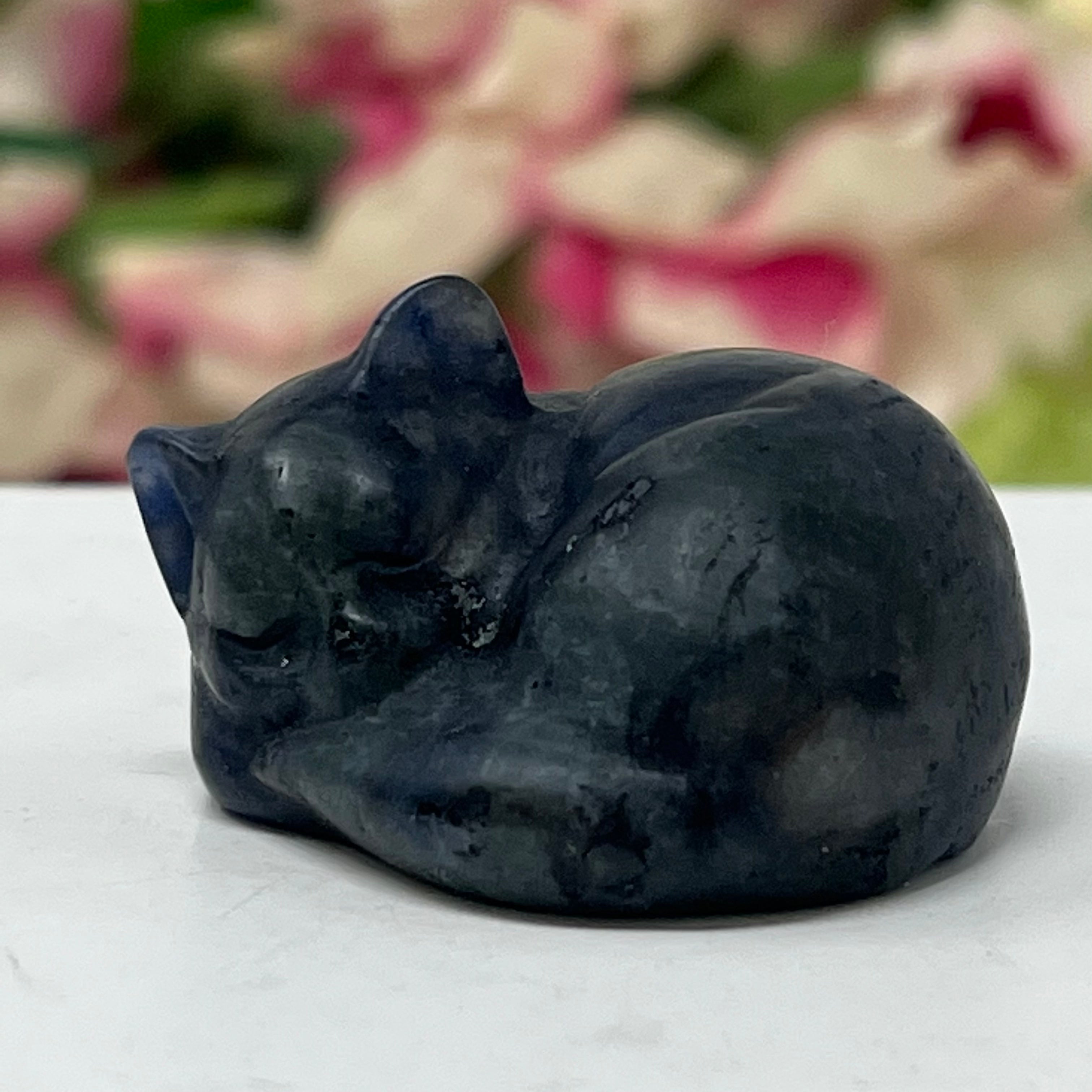 #12 Sodalite Sleeping Gemstone Cat December Birthstone