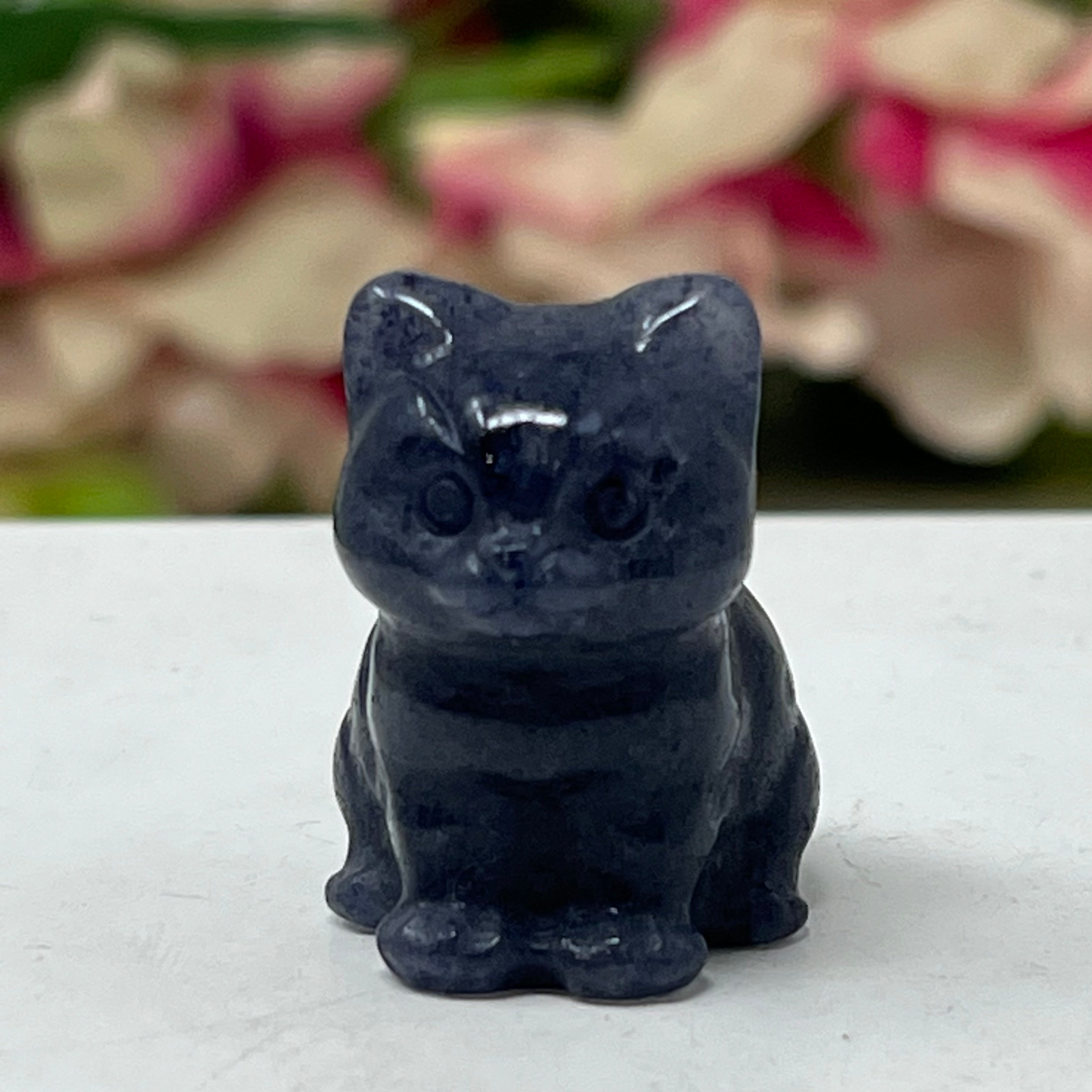 #9 Blue Aventurine Gemstone Kitten September Birthstone